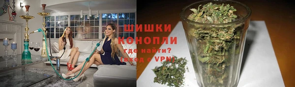 ПСИЛОЦИБИНОВЫЕ ГРИБЫ Шадринск