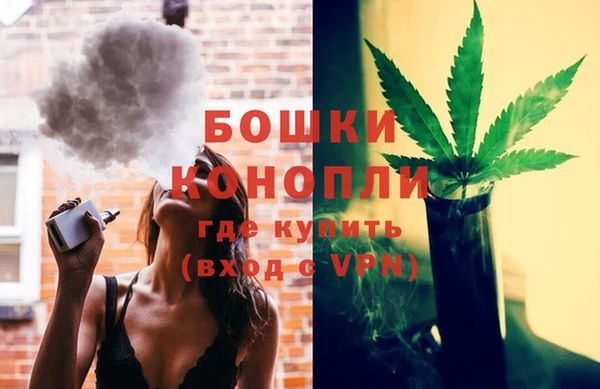 шишки Зеленодольск