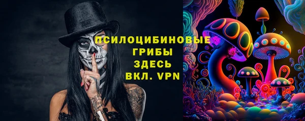 амф Зерноград
