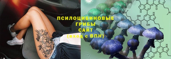 трава Зеленокумск