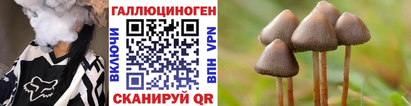 KRAKEN как зайти  Ейск  Псилоцибиновые грибы Magic Shrooms 