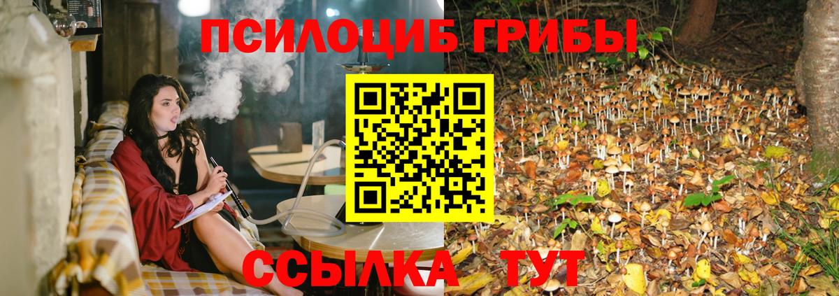 Галлюциногенные грибы Psilocybine cubensis Ейск