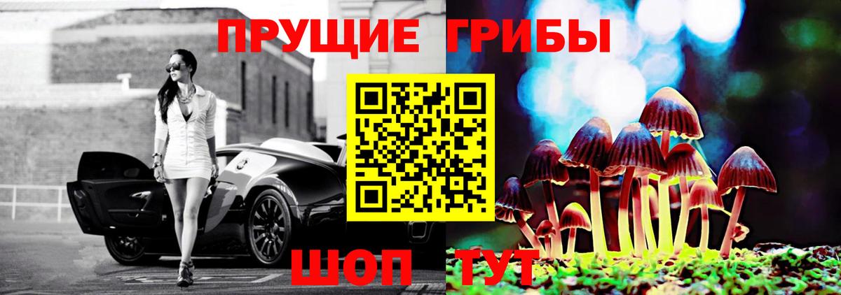 Псилоцибиновые грибы Cubensis Ейск